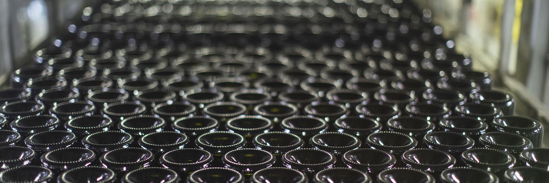 Photo: Kimberley Low / Wine Australia