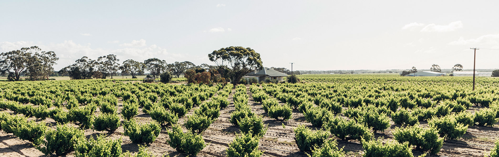 Delivering your tourism growth strategy