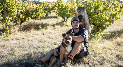 Using data to inform vine management